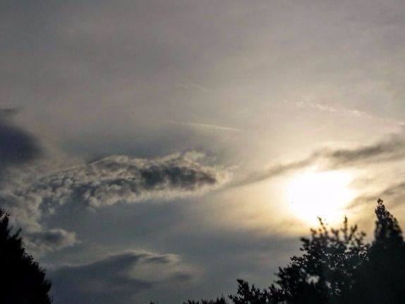 20160617_193207 (1) (1).jpg