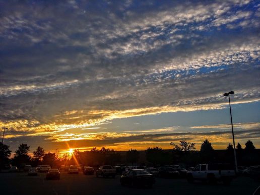 20160628_202908 (1) (1) (1).jpg