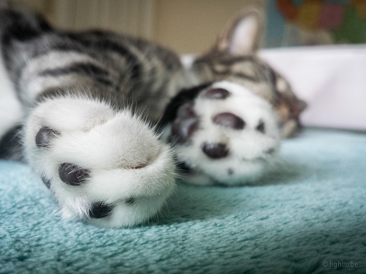 2013-09-14 08.10.25.jpg