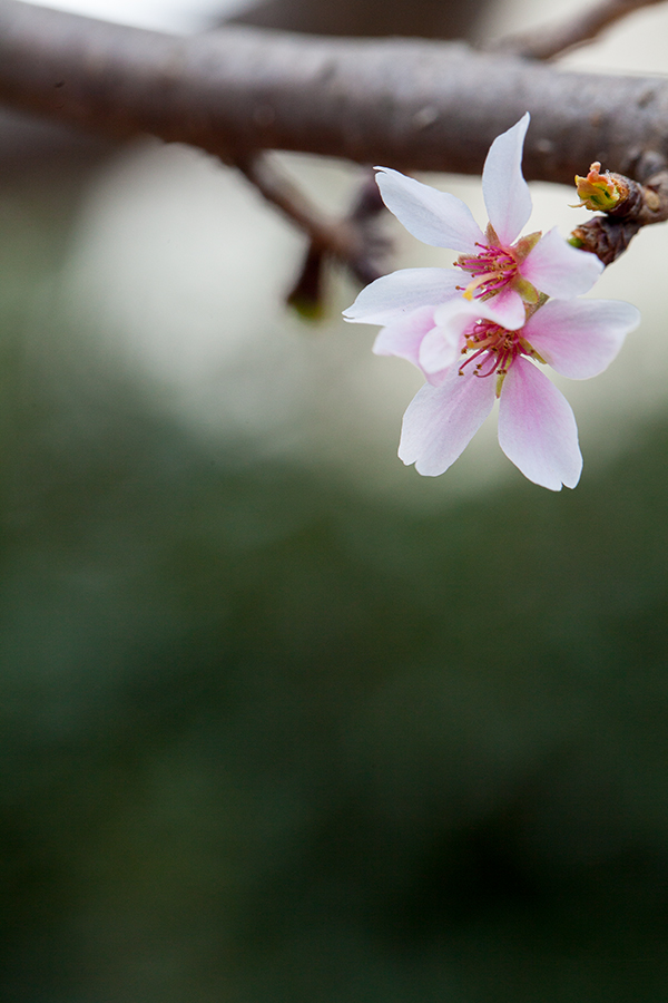 IMG_9703 사본.jpg