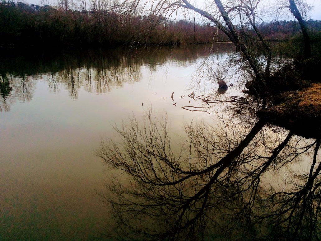 20170218_175436-2 (1) (1).jpg