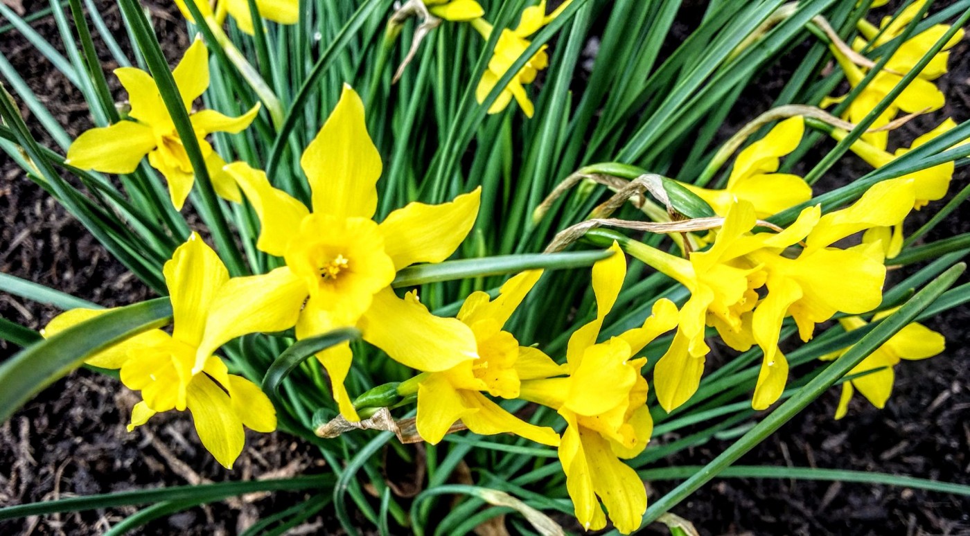 20160225_135432 (1).jpg