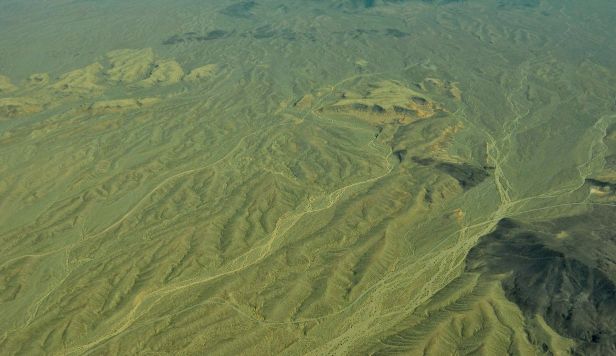 DSC_0499 (1) (1) (1).jpg