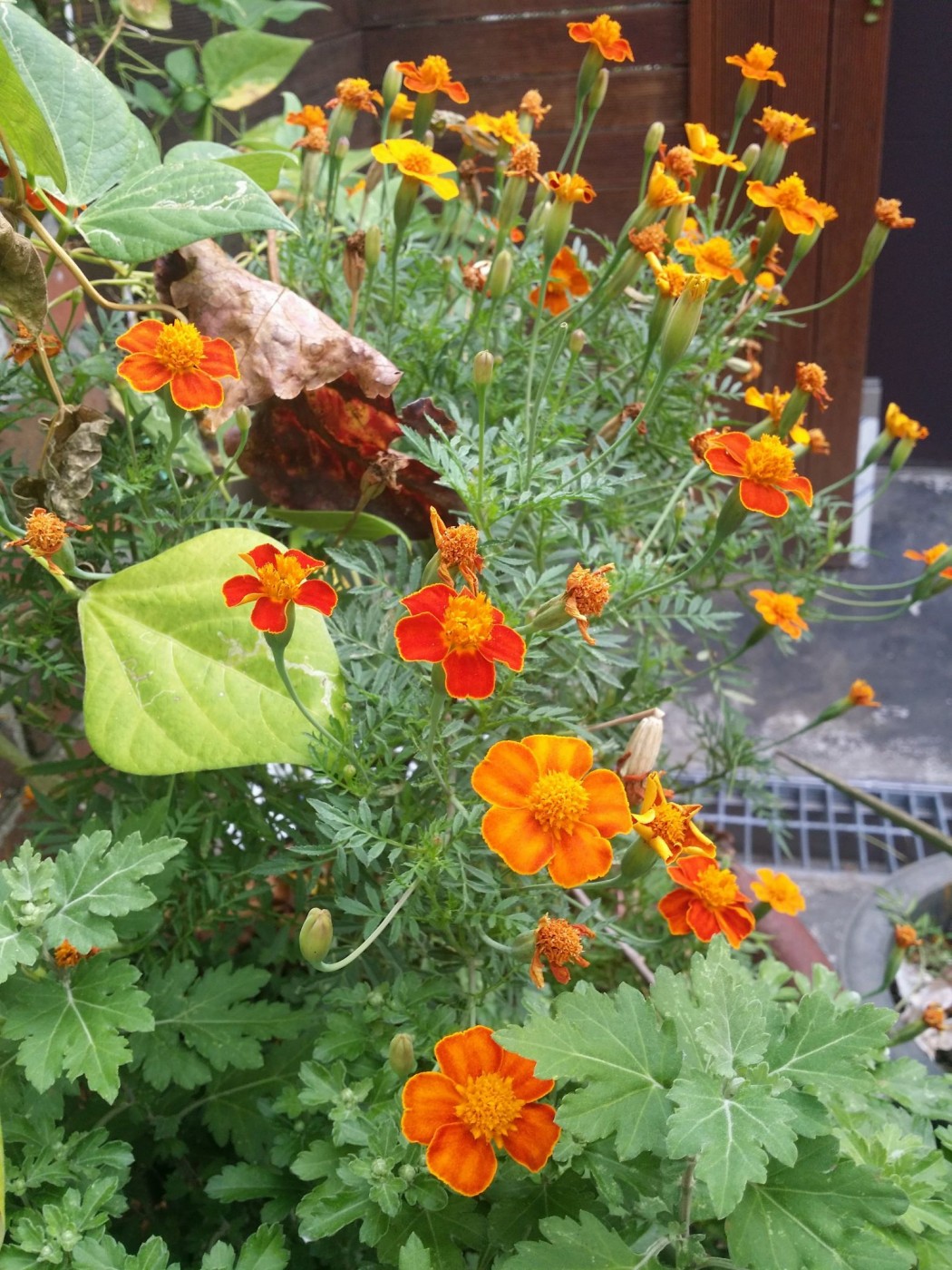 20150920_094210 (1).jpg