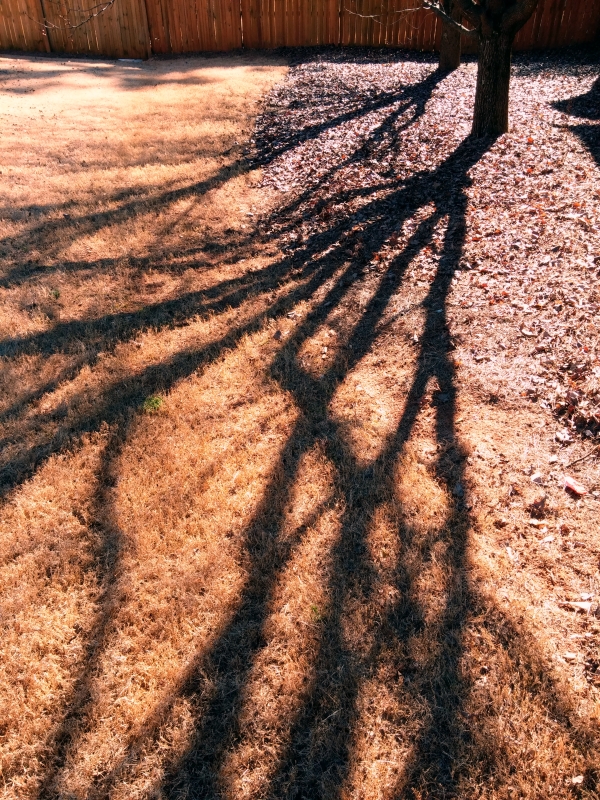 2014-01-08 13.19.28.jpg