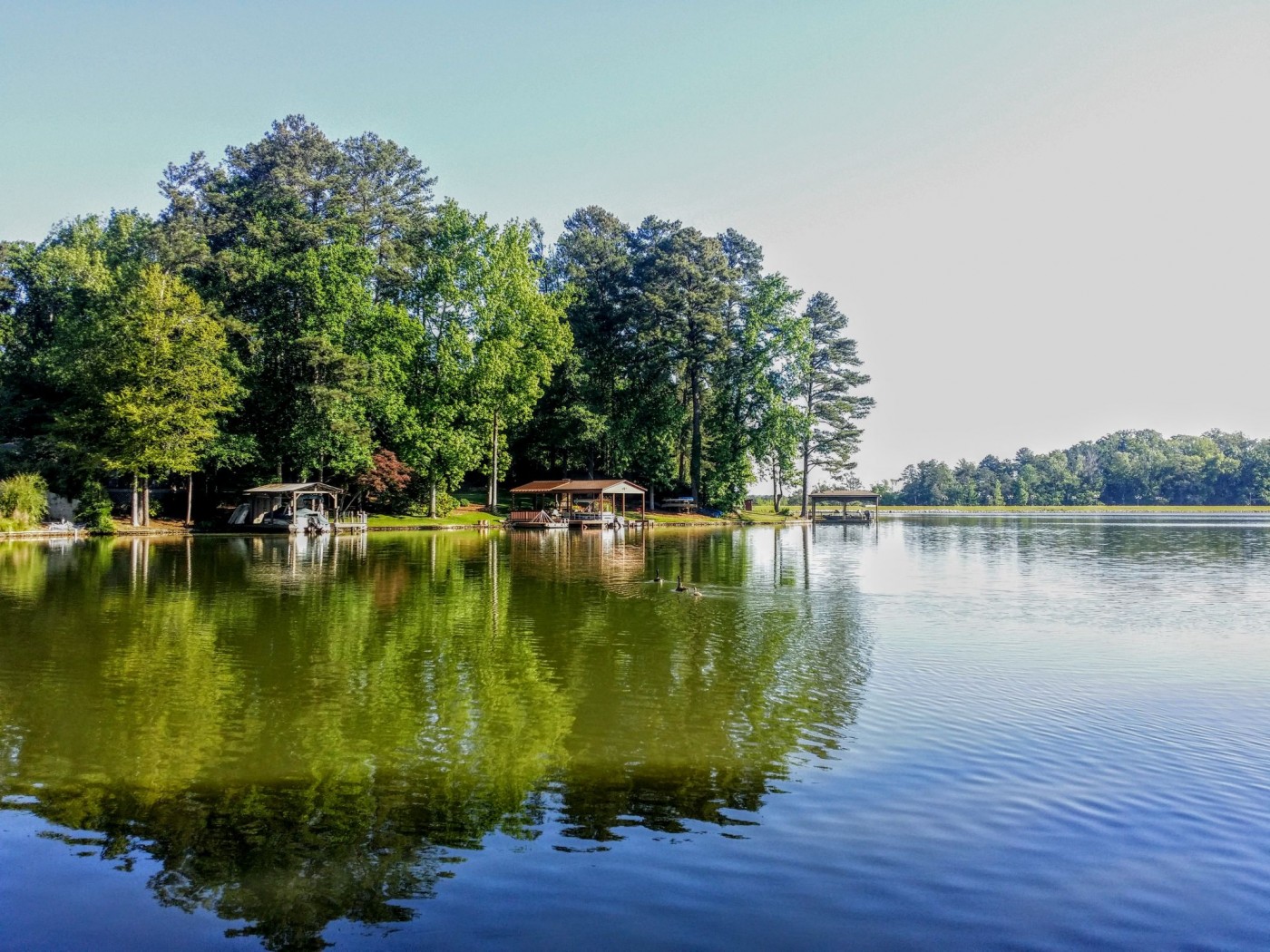 20160514_090234 (1).jpg