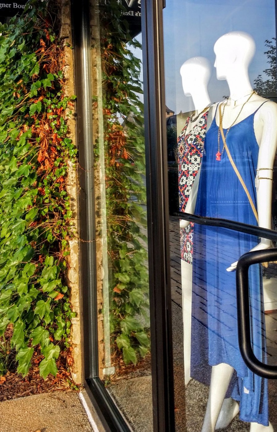 20150719_075235 (1).jpg