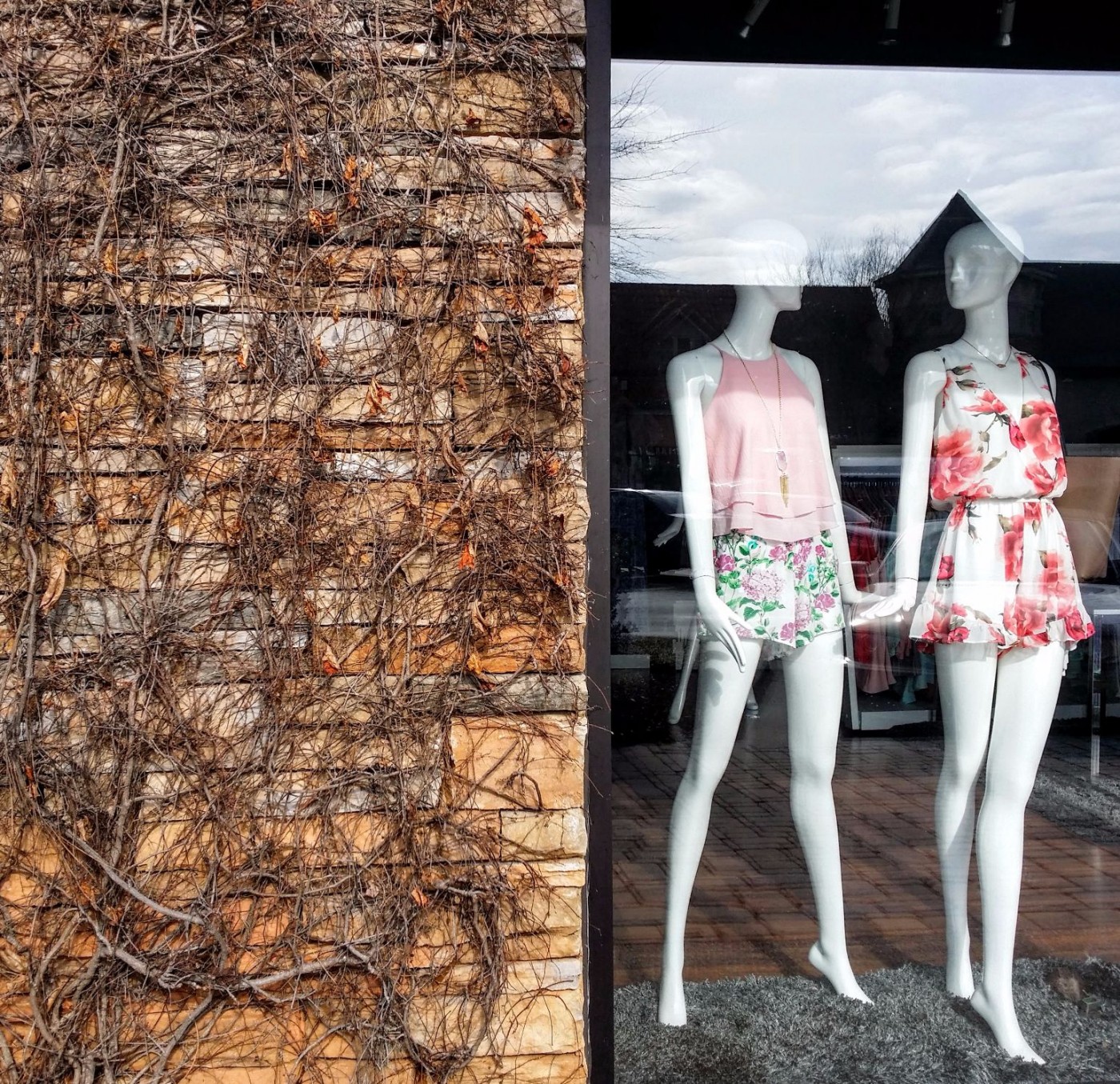 20160310_093652 (1).jpg