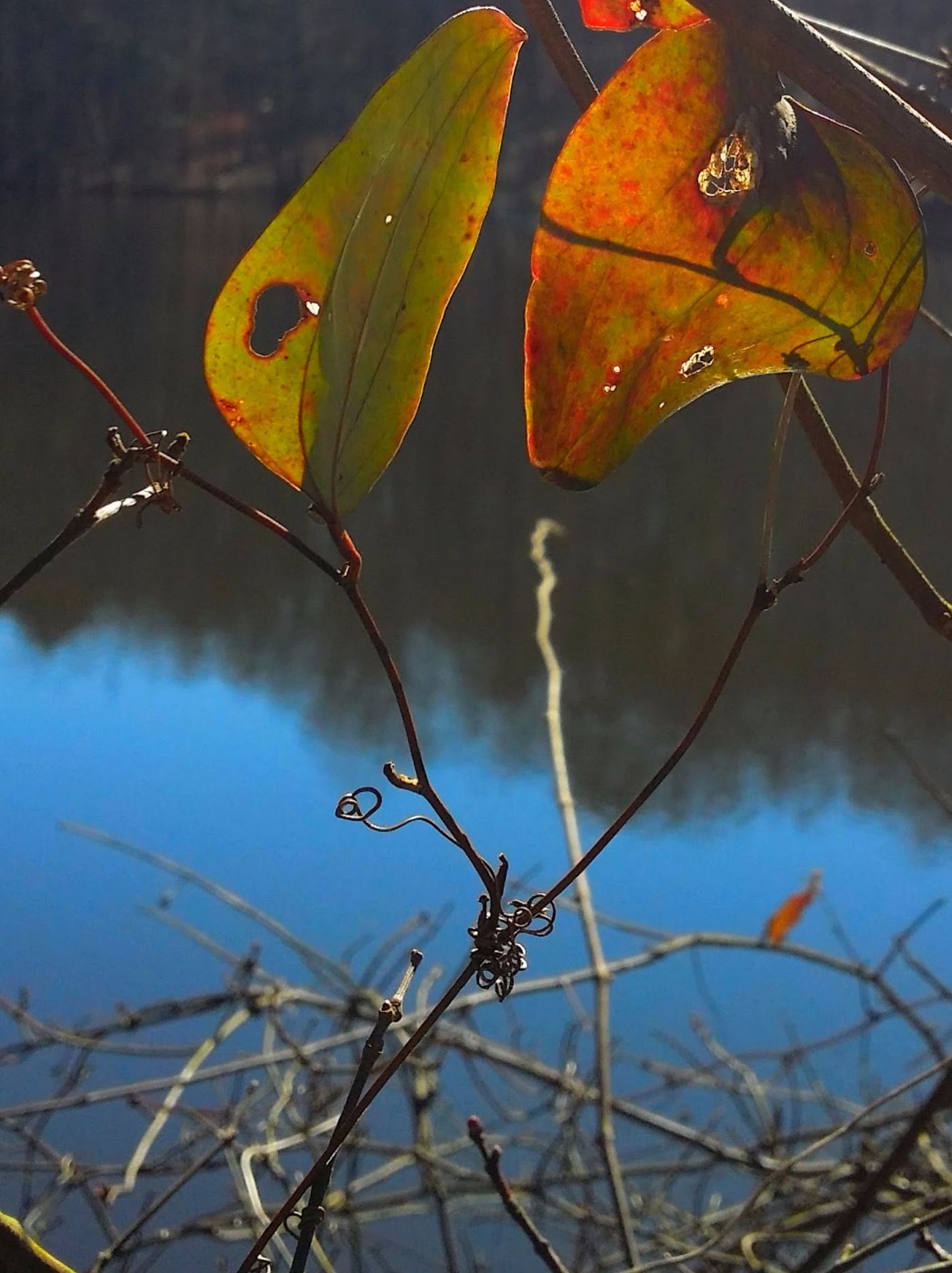 20160124_112937 (2).jpg