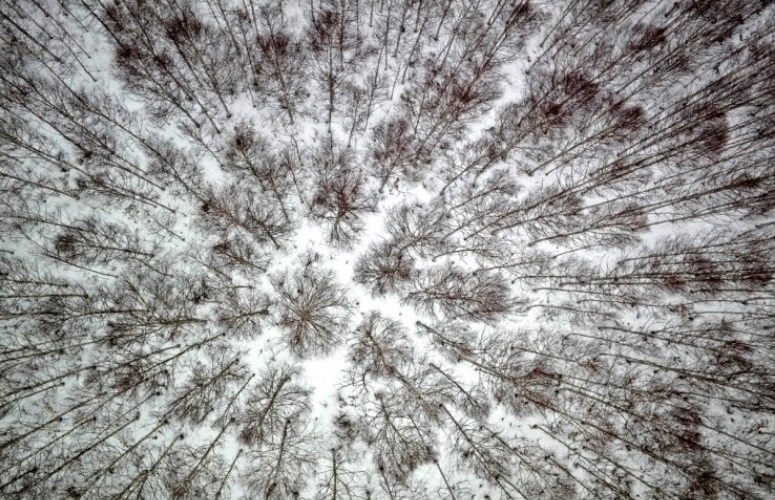 헬기로 찍은사진.jpg