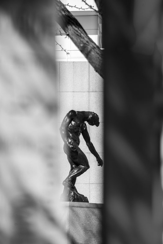 _DSC6206_9213 copy.jpg