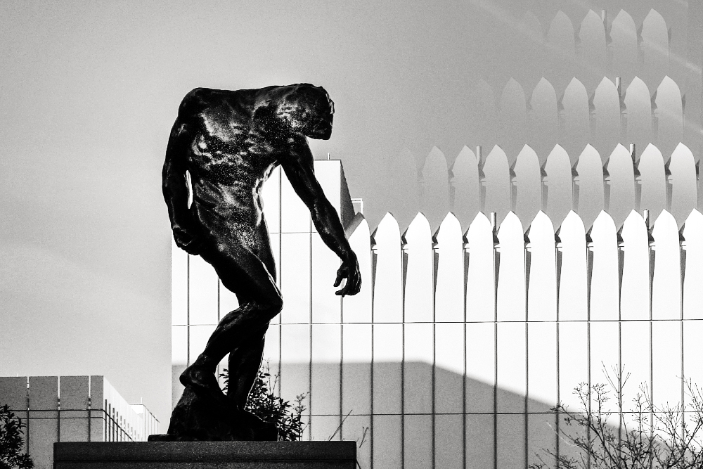 _DSC9517 copy (2) copy.jpg