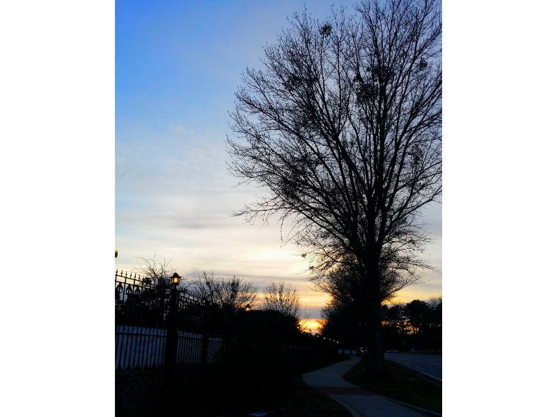 20151212_172207 (4) (1).jpg