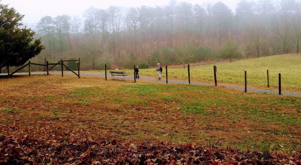 20170102_133211 (1) (1).jpg