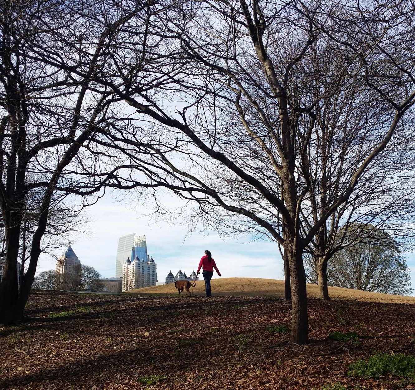 20160103_151143 (2).jpg