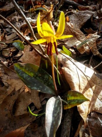 1393822837128 (1).jpg