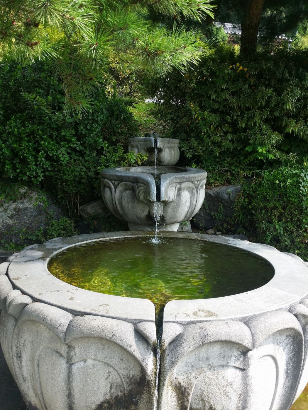 20150920_103220 (1).jpg