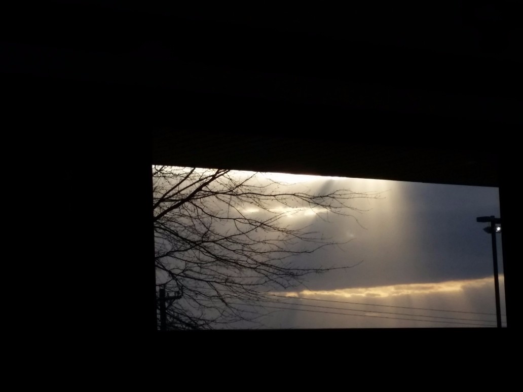 20170324_190347 (1) (1).jpg