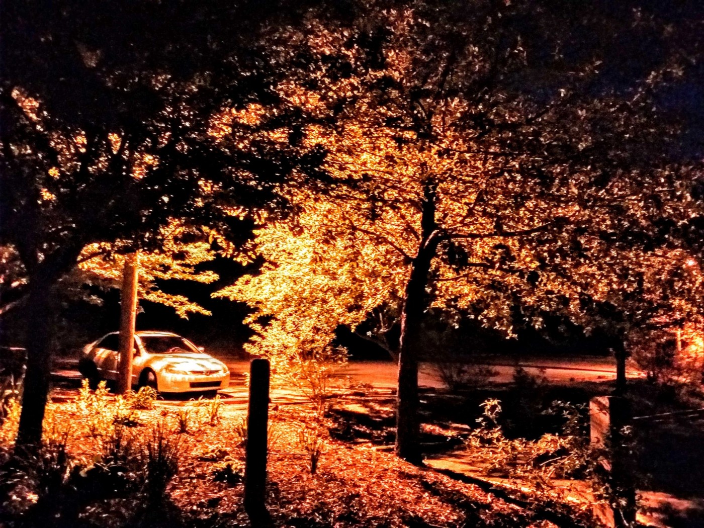 20160412_204802 (2) (1).jpg