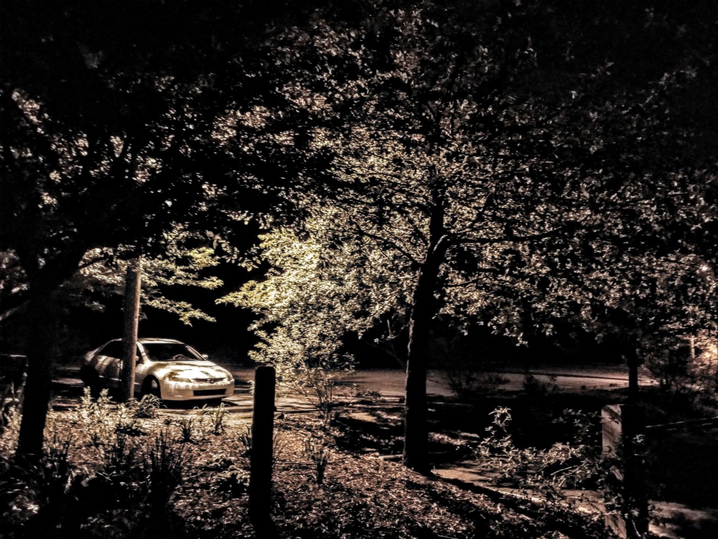 20160412_204802 (1) (1).jpg