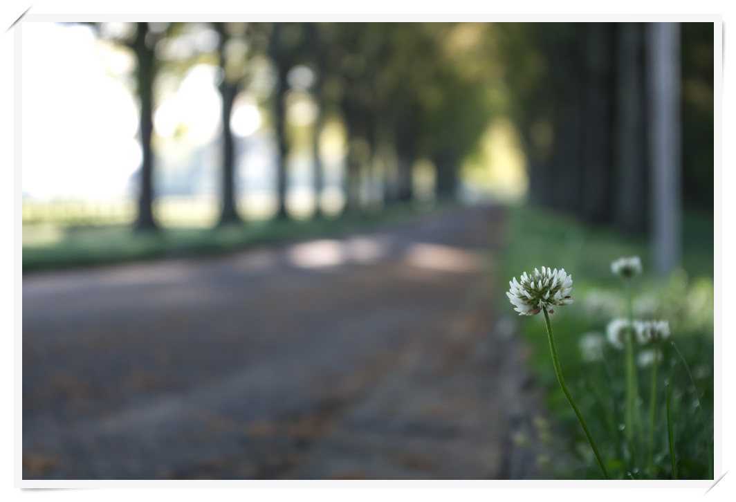 Berry College-5-1.jpg