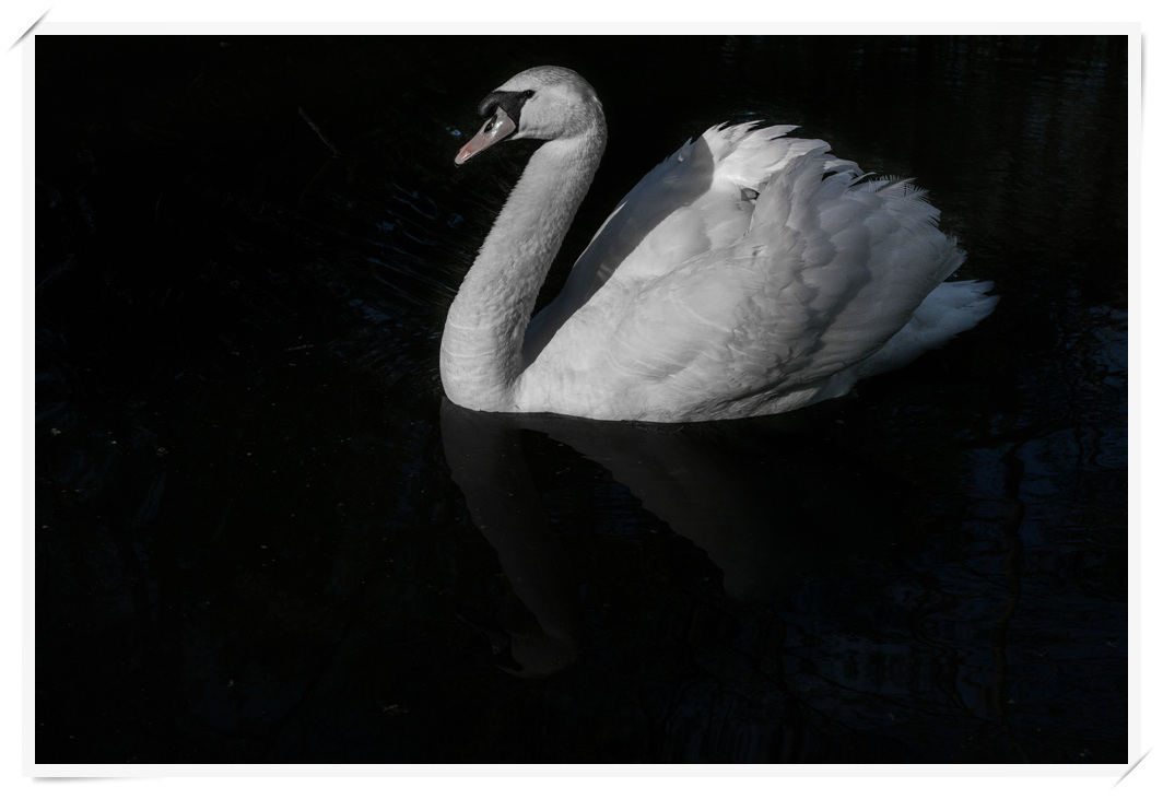 Berry College-3-1.jpg