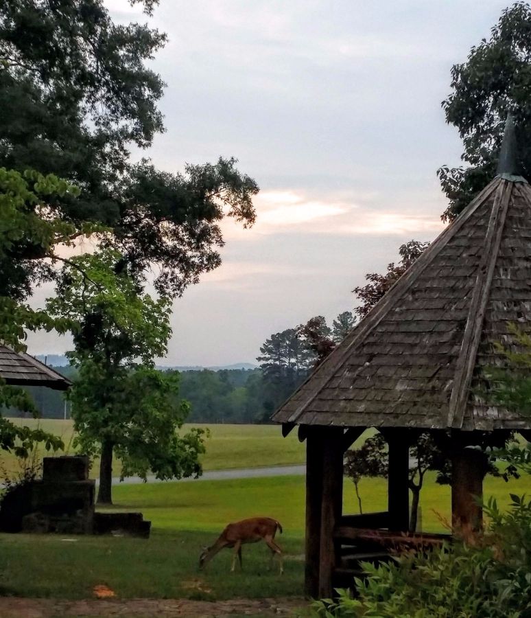 20160723_071238 (1) (1).jpg