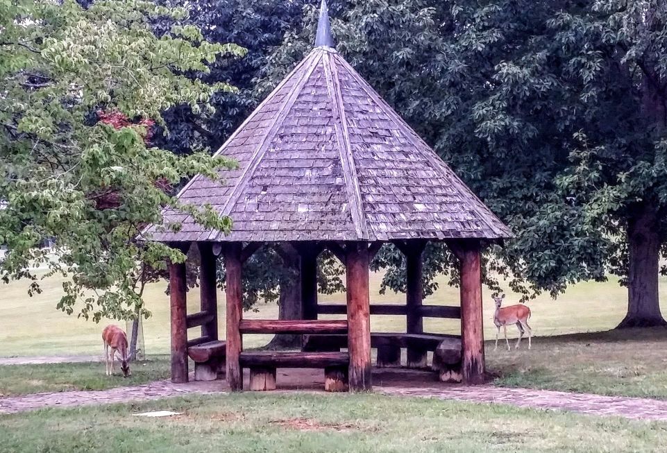 20160723_070906 (1) (1).jpg