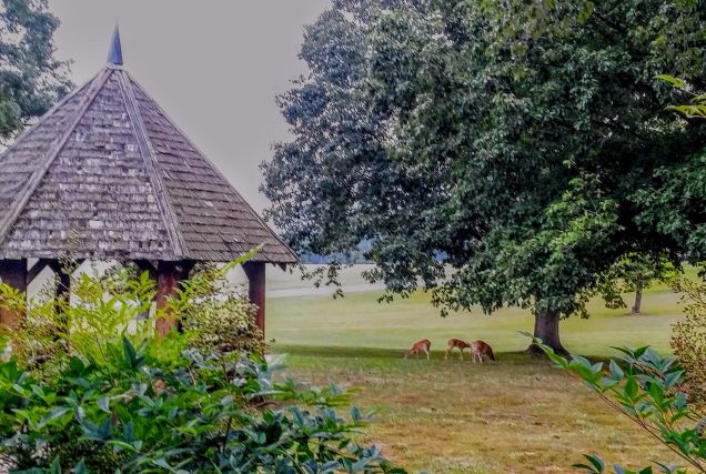 20160723_071557 (1) (1).jpg