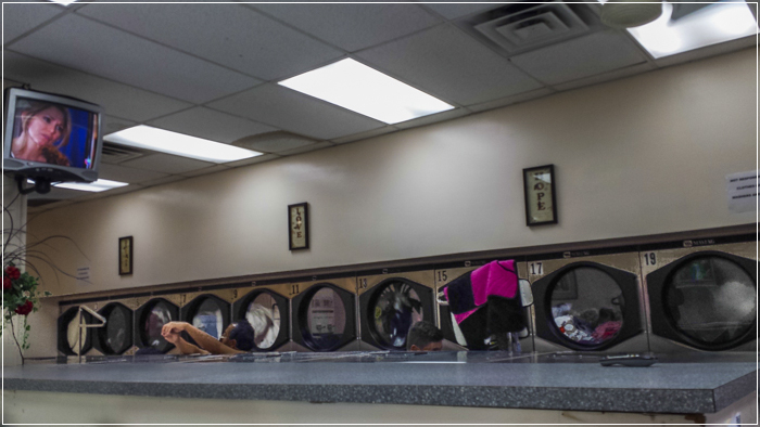 Coin-Laundary-Shop-3.jpg