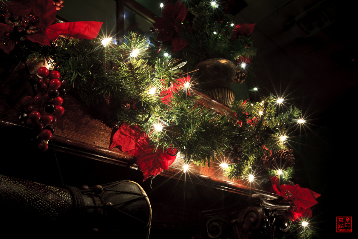 2012_12_02_9134 resize.jpg