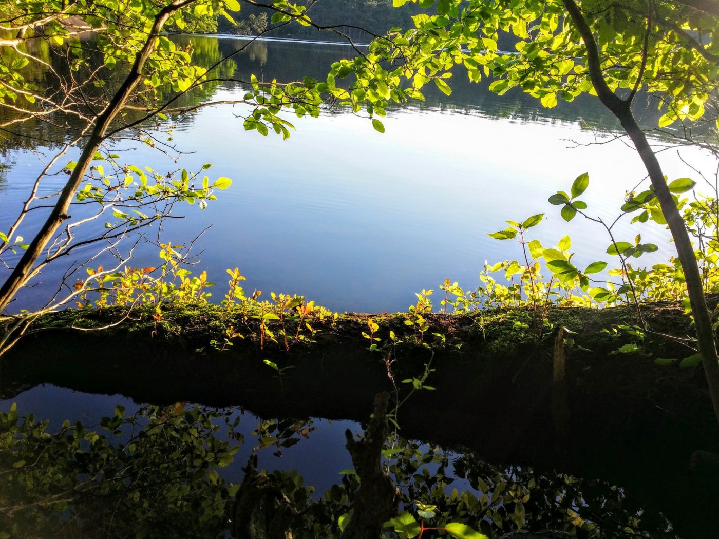 20160508_074740 (1).jpg