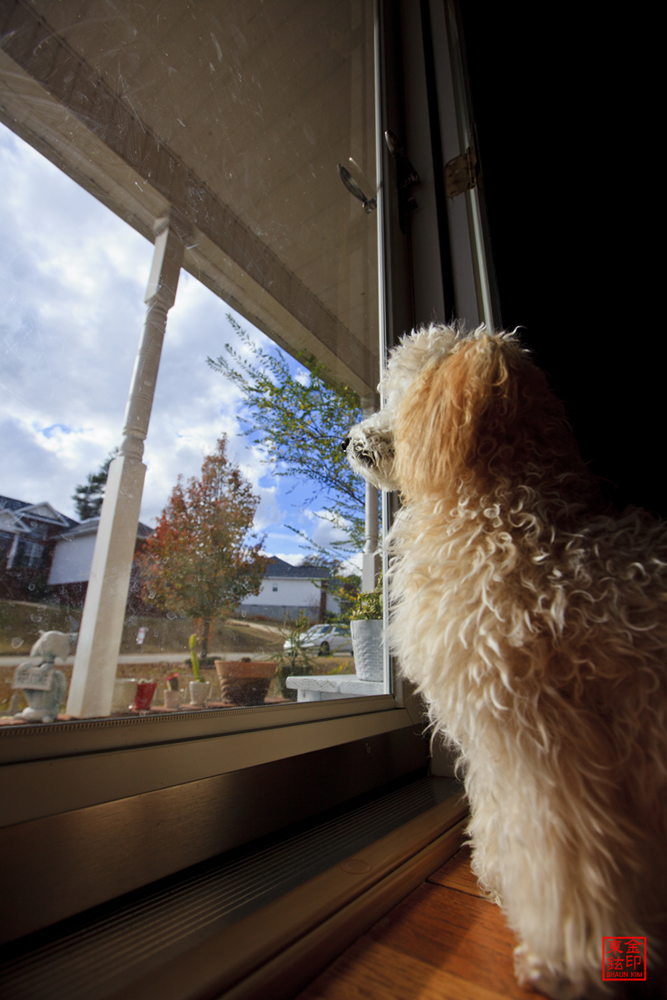 2012_12_02_9094 resize.jpg