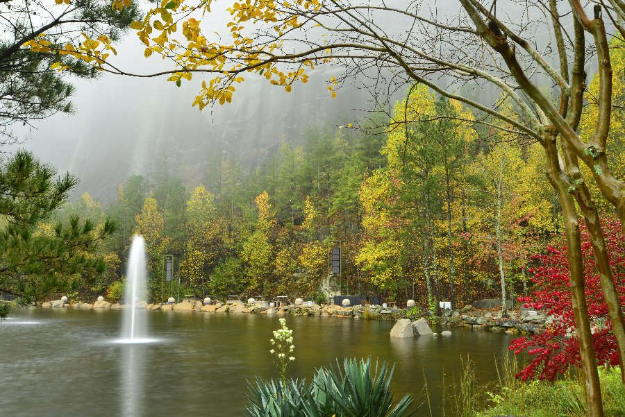 _DSC9109_2021 - Copy.JPG