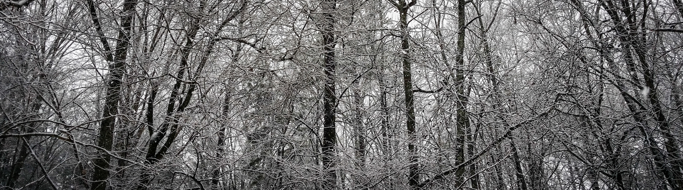 2014-02-13 08.15.21.jpg