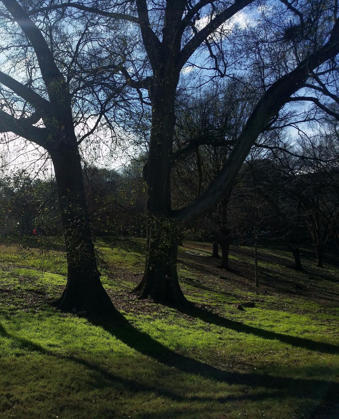 20160103_144107 (3).jpg