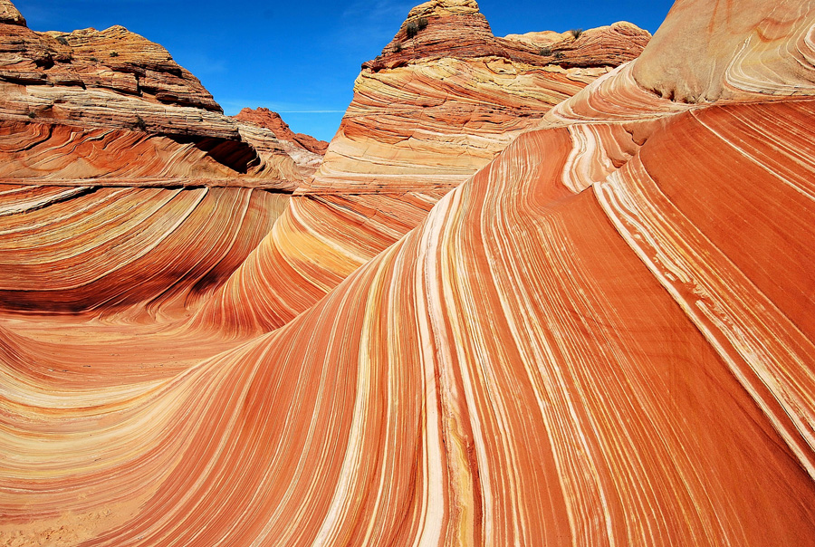 DSC_0075 - Copy-1.jpg