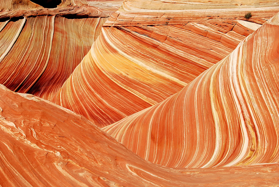 DSC_0087 - Copy-1.jpg