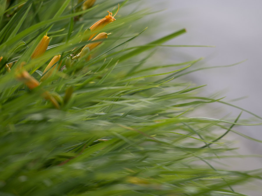 05-25-2014 wind 2.jpg