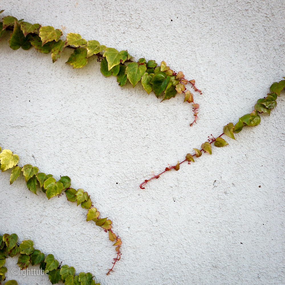 2012-12-01 09.26.44.jpg