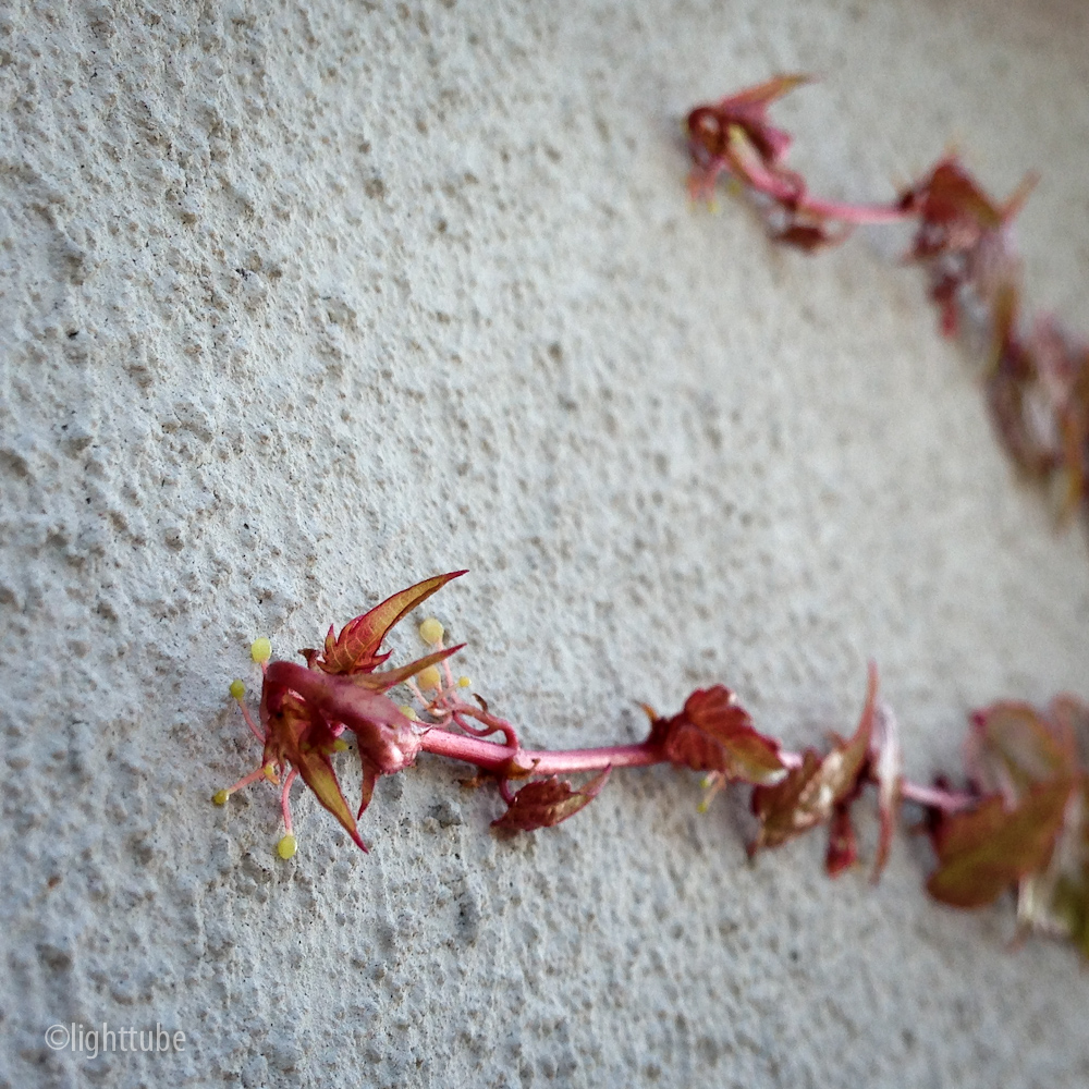 2012-12-01 09.29.35.jpg