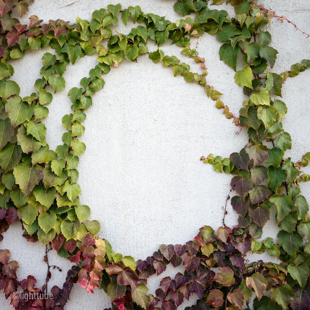 2012-12-01 09.24.42.jpg