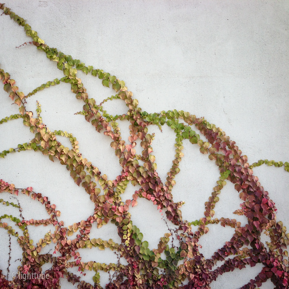 2012-12-01 09.30.03.jpg