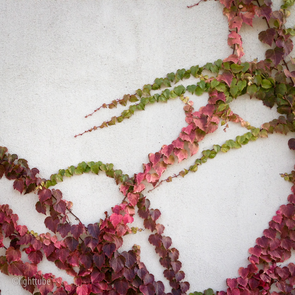 2012-12-01 09.28.37.jpg