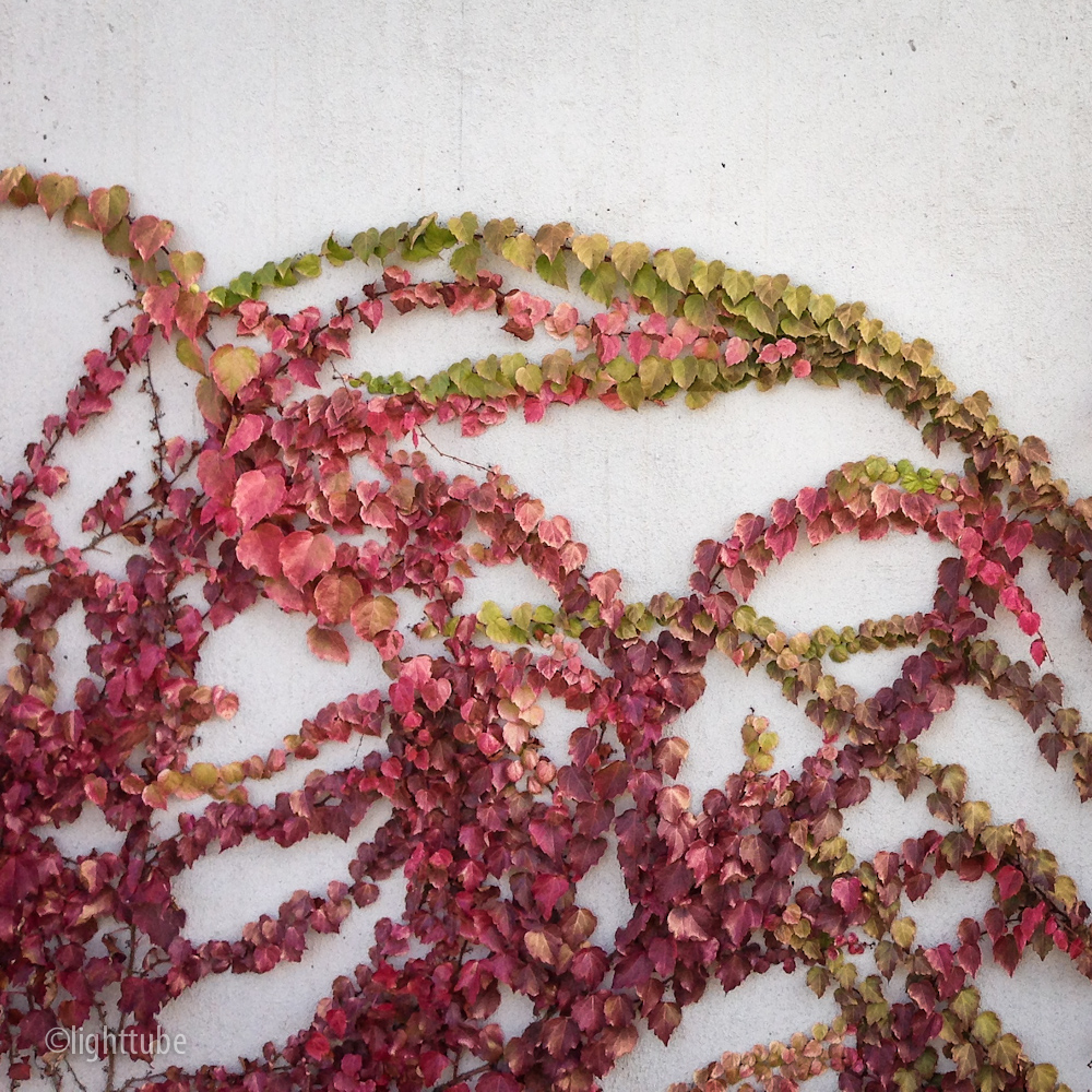 2012-12-01 09.30.13.jpg