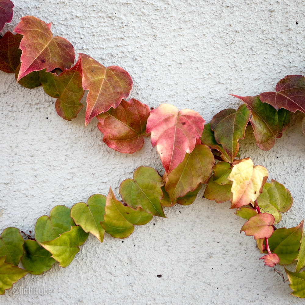 2012-12-01 09.27.53.jpg