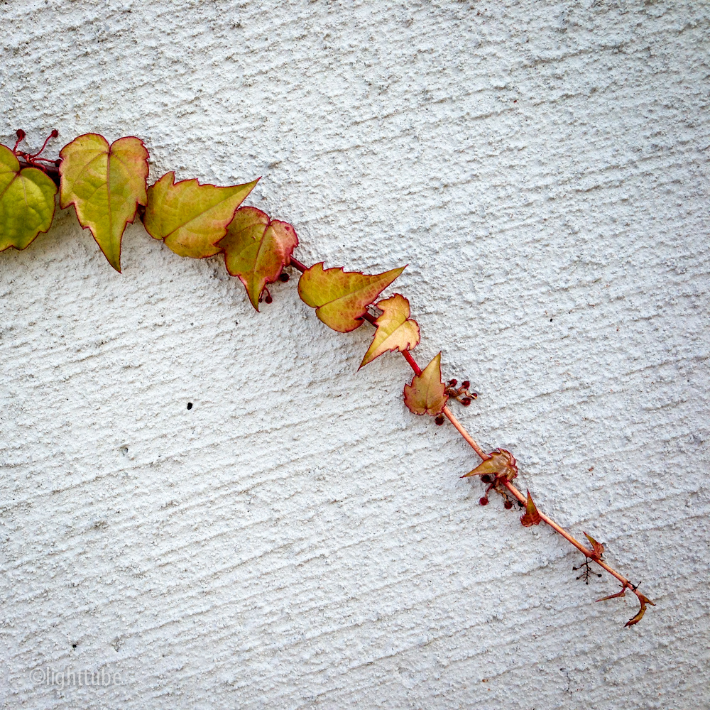 2012-12-01 09.27.42.jpg