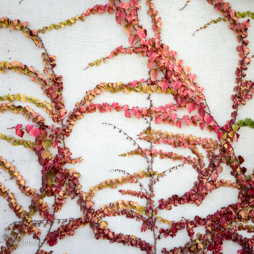 2012-12-01 09.30.30.jpg