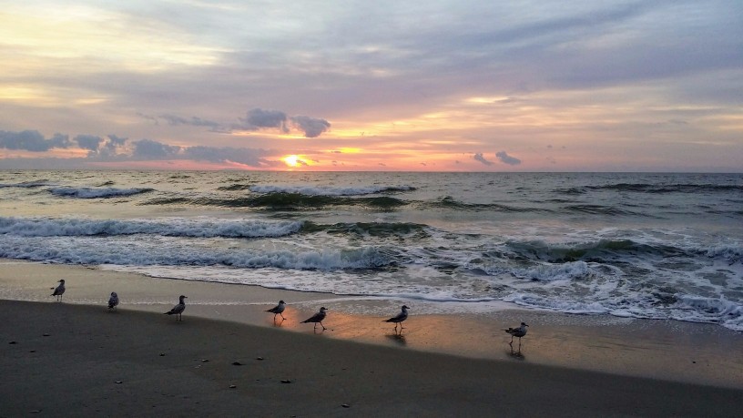 20171022_073242 (1) (1).jpg