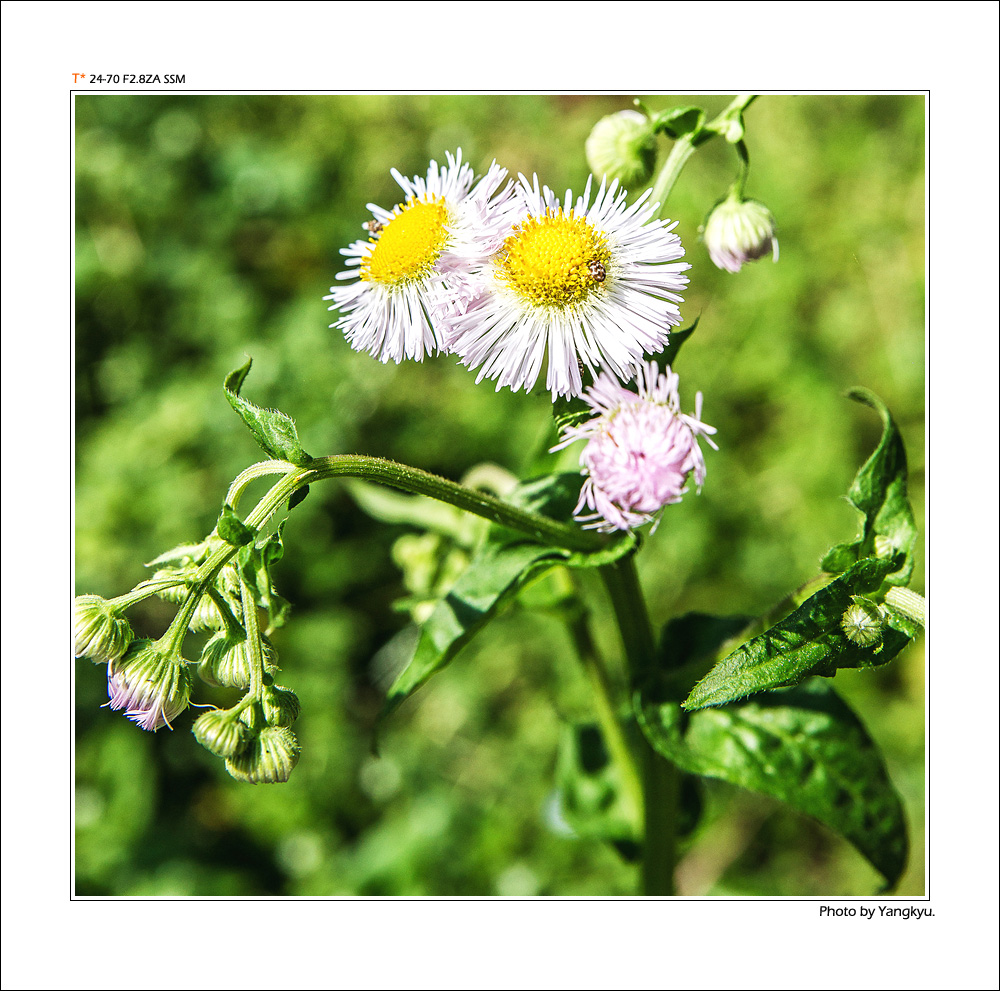 untitled shoot-7316.jpg